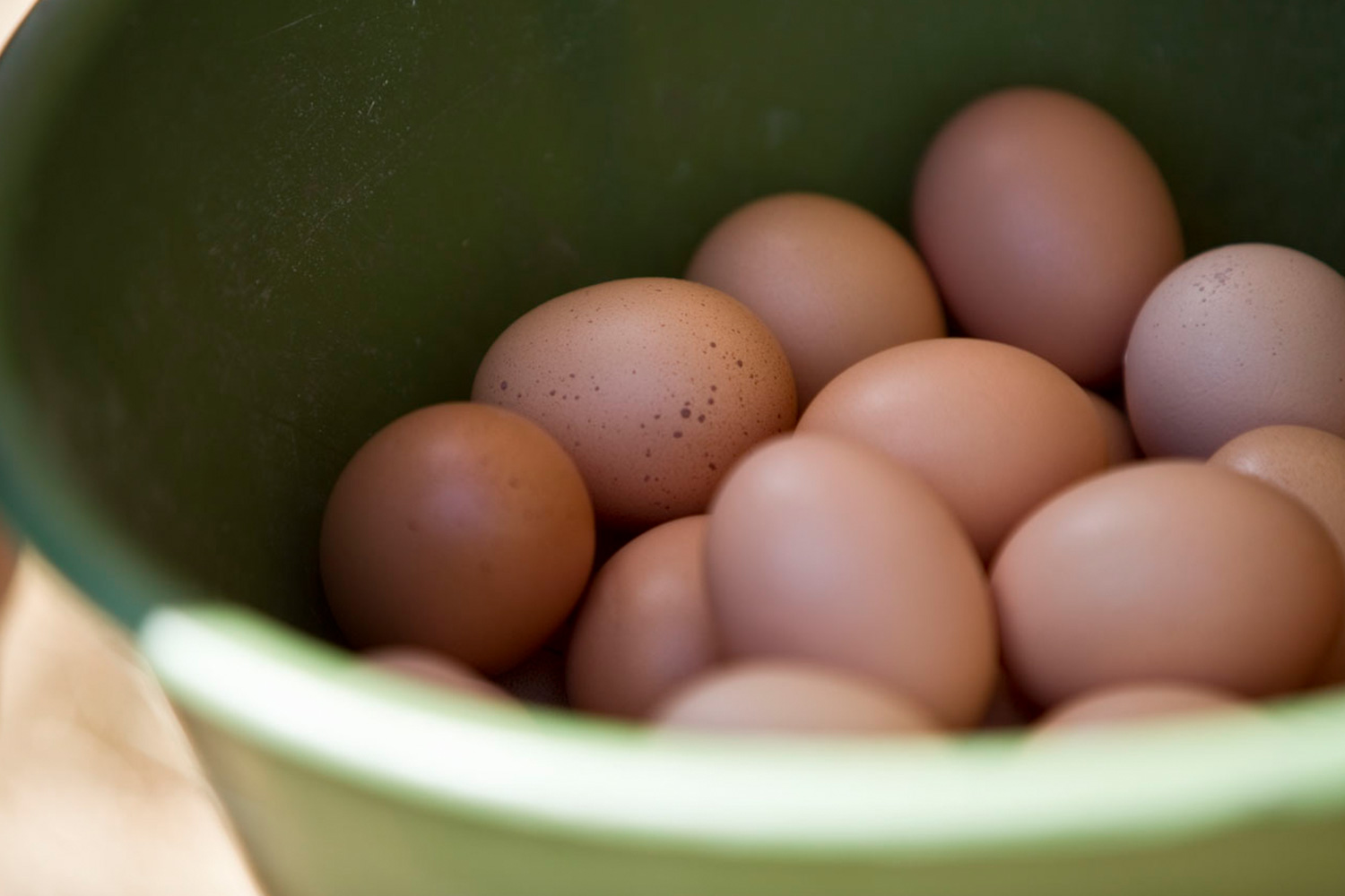 Bio Eier von glücklichen Hühnern