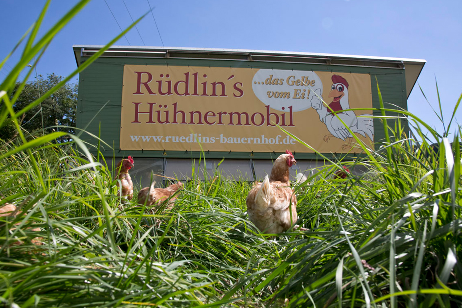 Hühnermobil auf dem Bio Bauernhof